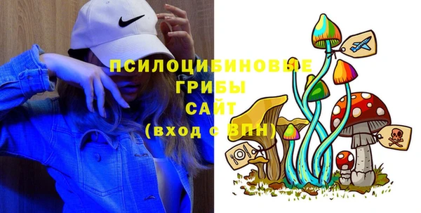 apvp Вязники