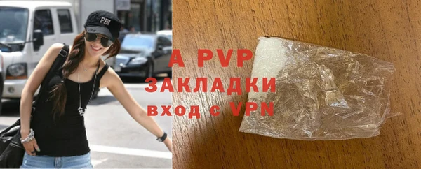 ECSTASY Вяземский
