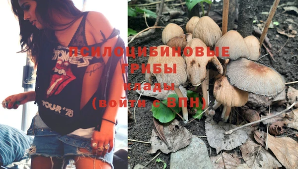 apvp Вязники