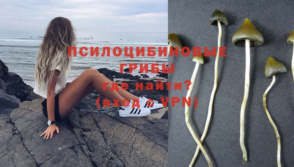 наркотики Вязьма